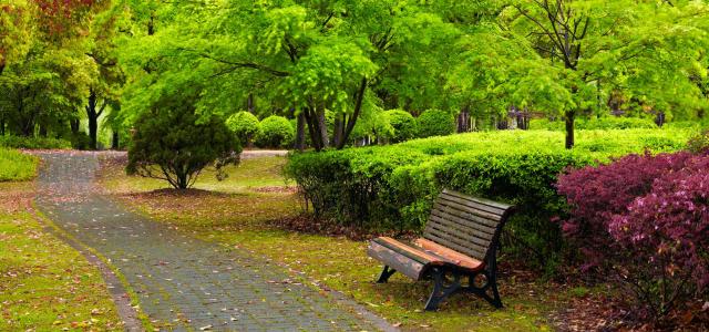 park path with bench